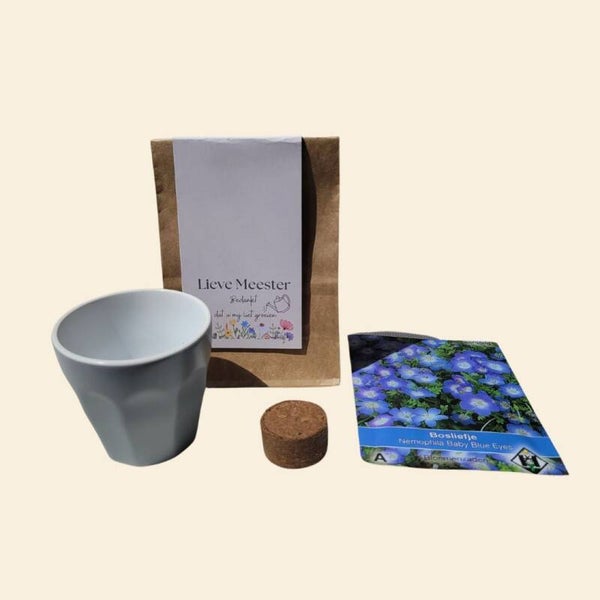 Meester bedankt dat u mij liet groeien vorm esa