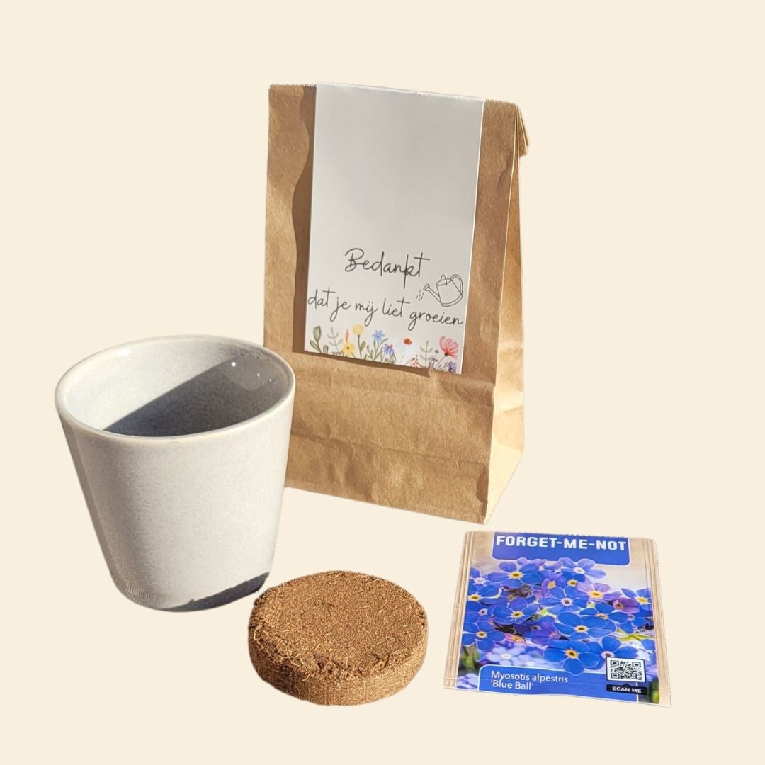 Bedankt dat je mij liet groeien vorm Ammi