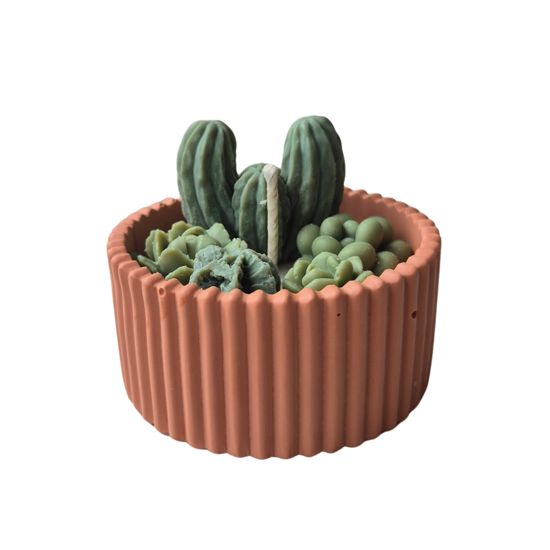 Handgemaakte cactustuin waskaarsen in terra schaal nieuw