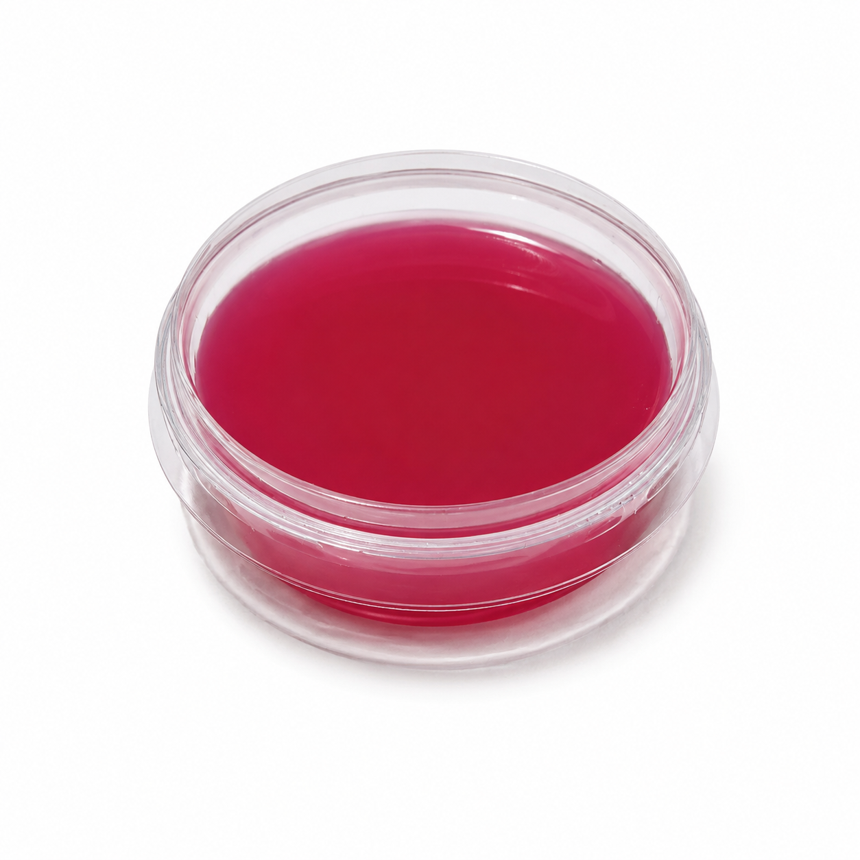 Jelly hôtel disney 20g