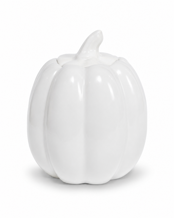 Brûleurs citrouille blanc