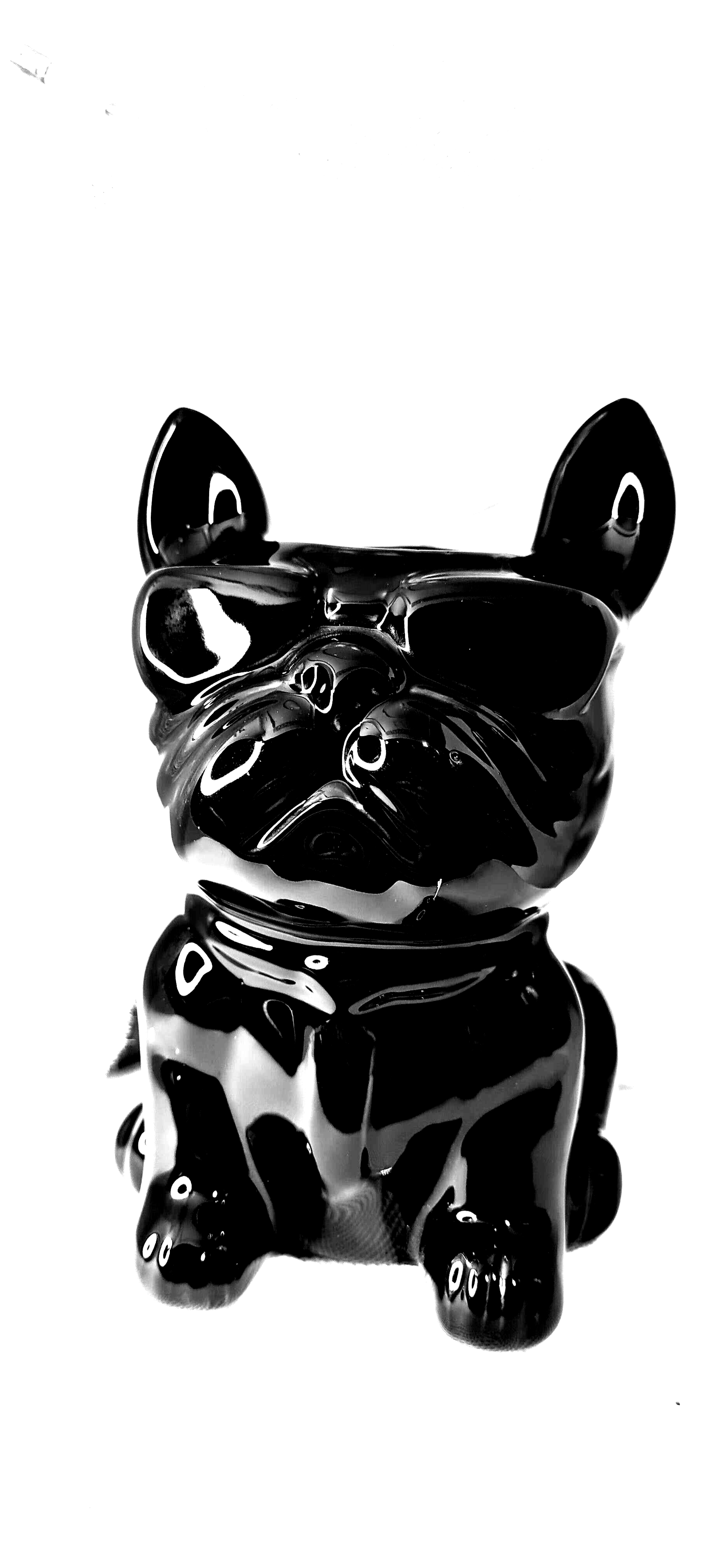 Brûleur boubou noir