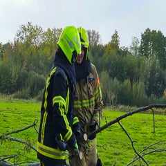 20251004_142243-standard.jpg