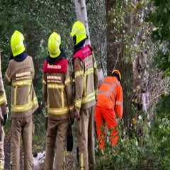 img-20251004-wa0149-standard.jpg
