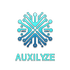 auxilyze.com
