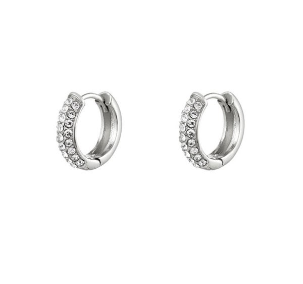 Earrings Desire silver