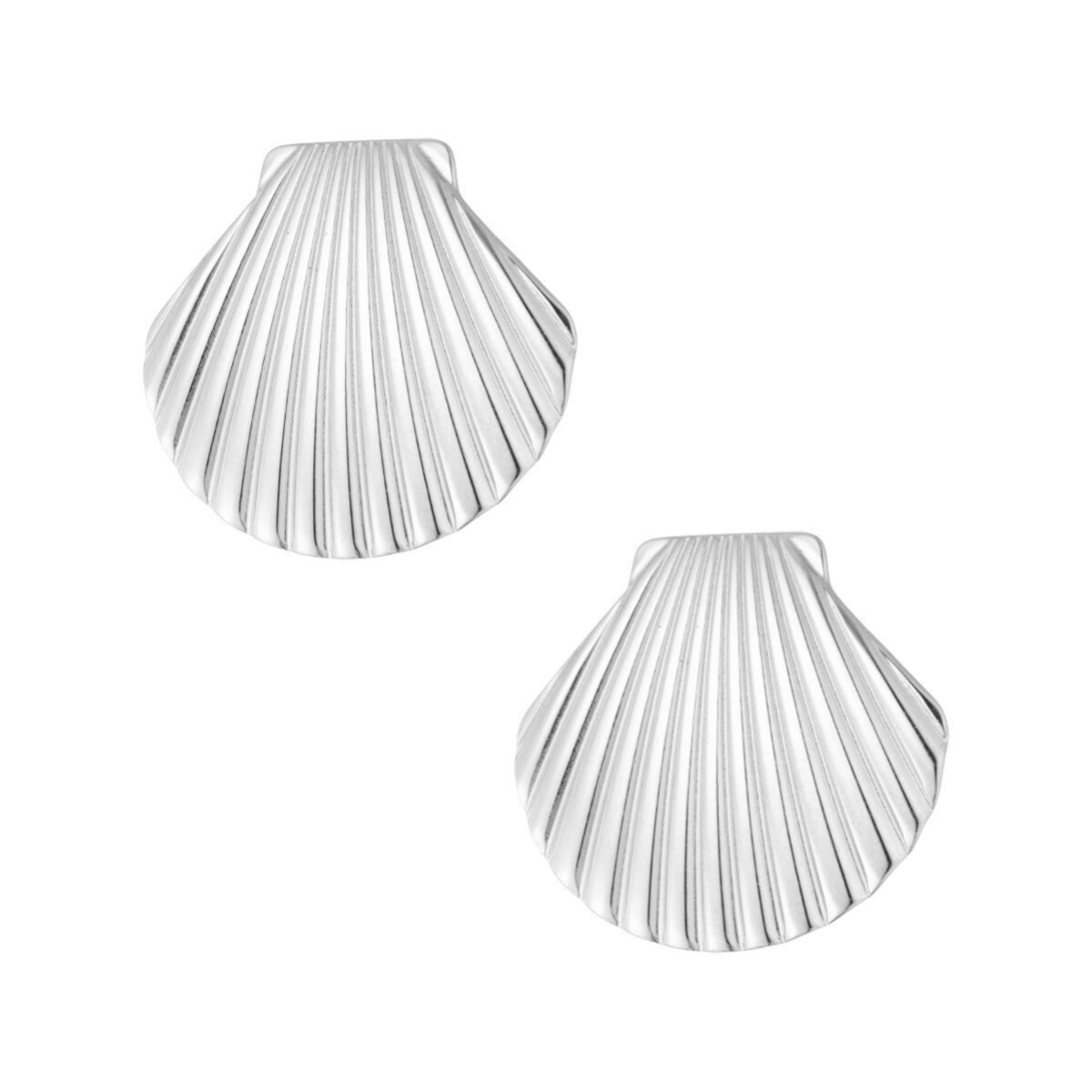Oorbellen shell statement - zilver