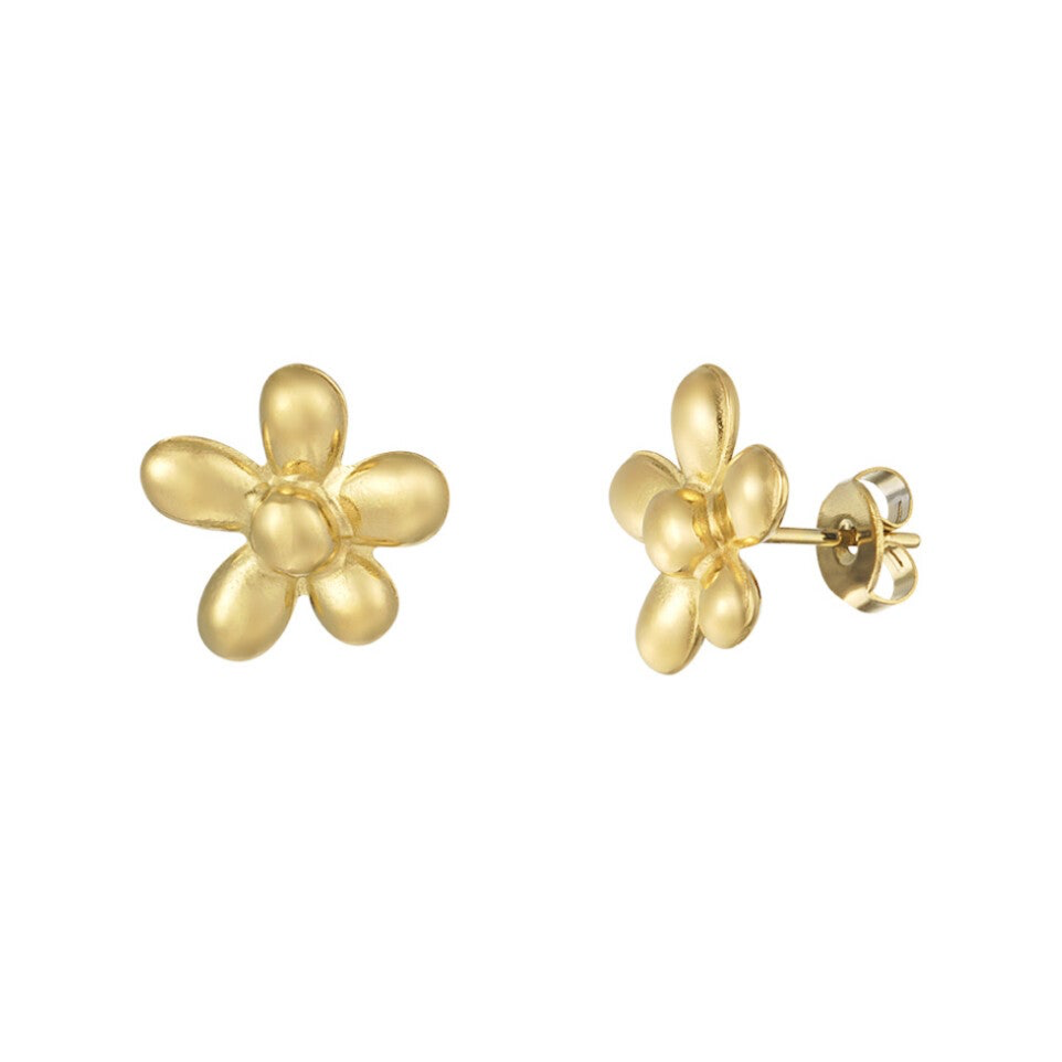 Cute Daisy Flower Oorbellen - Goud