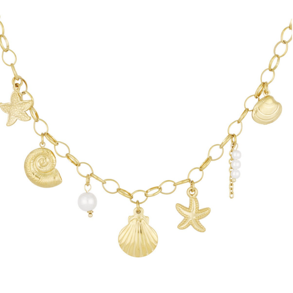 Schelpjes ketting - Goud