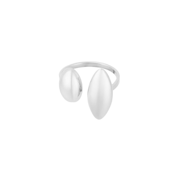 Ring diverse duo - Zilver