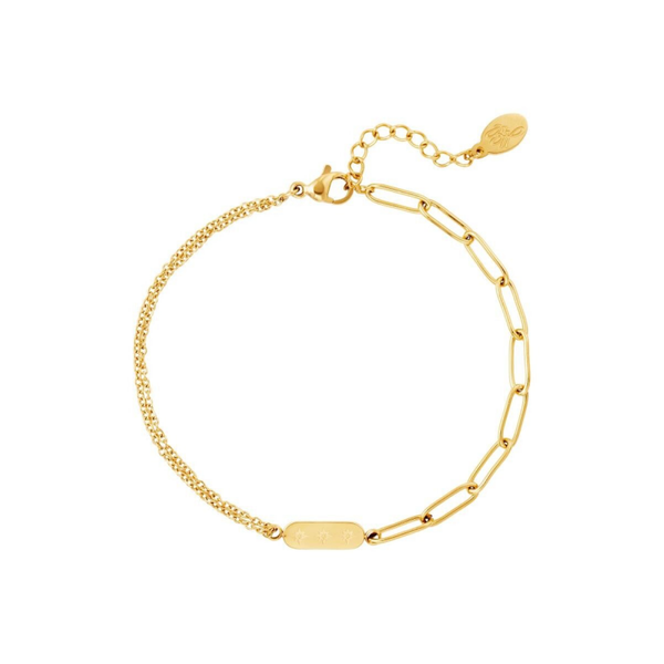 Armband dubbele ketting en bedel goud