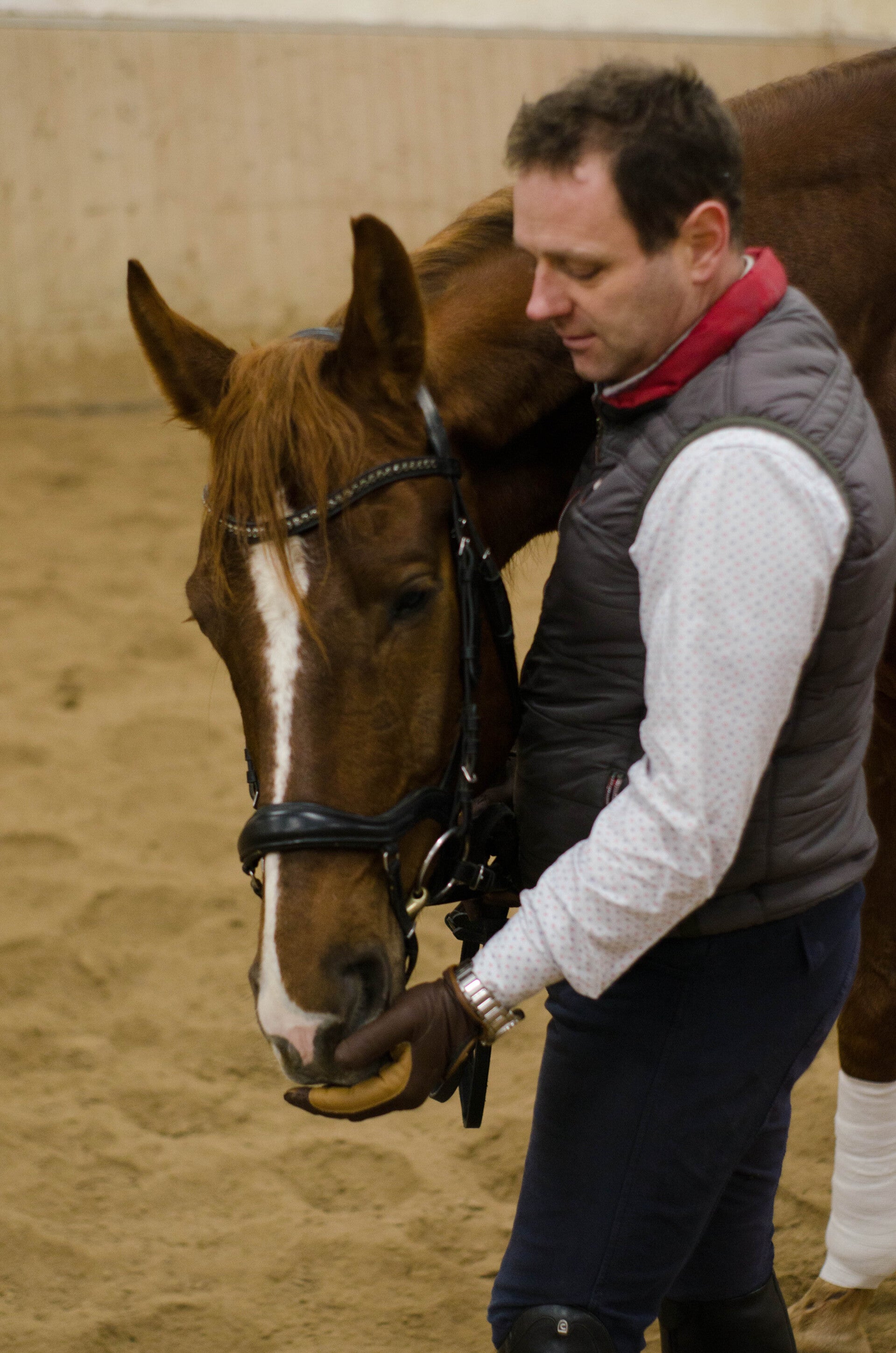 Mario und sein Pferd Top Gun
