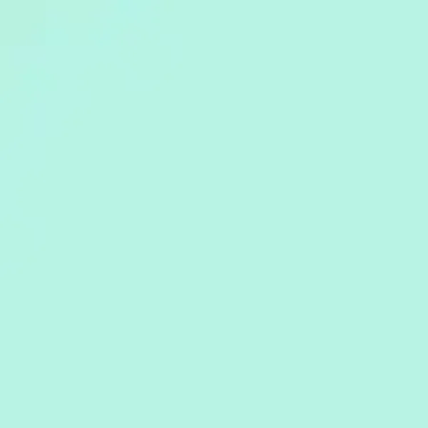 Siser flex 30 x 100 cm 068 mint