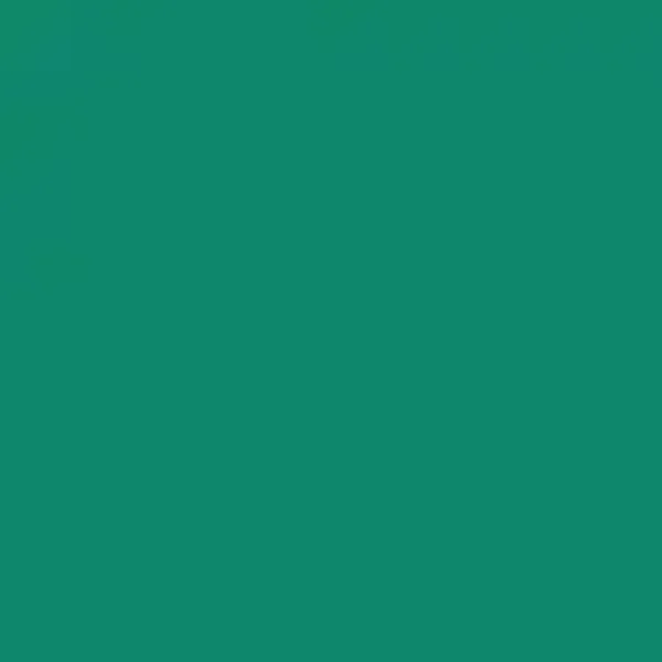 Siser flex 30 x 100 cm 009 groen