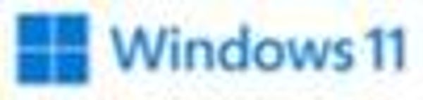 WINDOWS 11 PROFESSIONAL   64BIT OEM