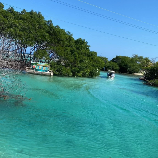 EAST END + PIGEON CAY + 3 STOP SNORKEL + MANGROVE TUNNEL