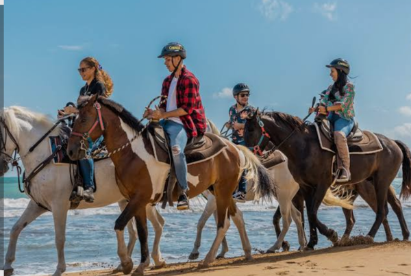 HORSEBACK RIDING + BEACH BREAK + CHOCOLATE & RUM TASTING
