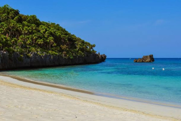 MONKEY'S & SLOTHS + WEST BAY BEACH BREAK + SNORKELING