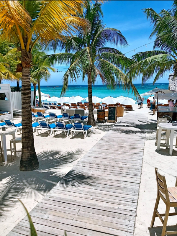 WEST BAY BEACH + MONKEY'S & SLOTHS + ROATAN SIGN