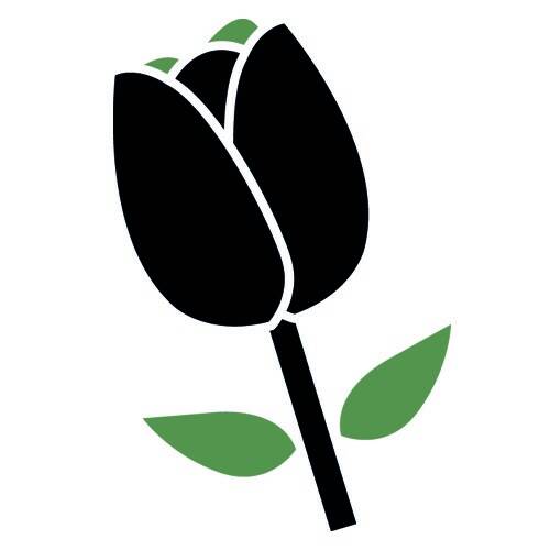 Ik ben op zoek naar de beste VA van Nederland