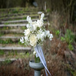 _dsc6683-copie-standard.jpg