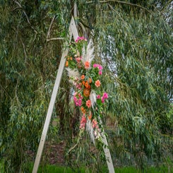 _dsc6706-copie-standard.jpg