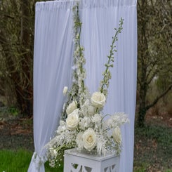_dsc6750-standard.jpg