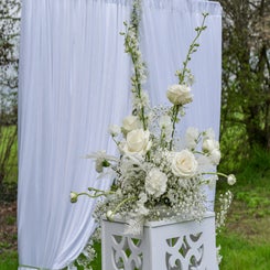 _dsc6753-3-standard.jpg