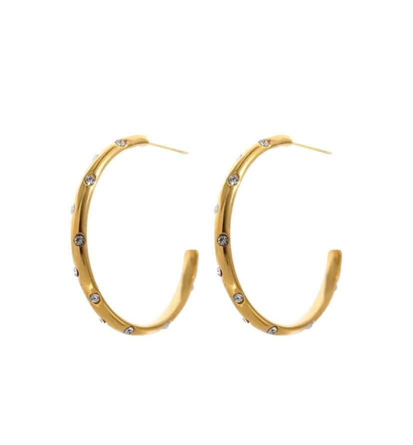 Shiny hoop oorbellen