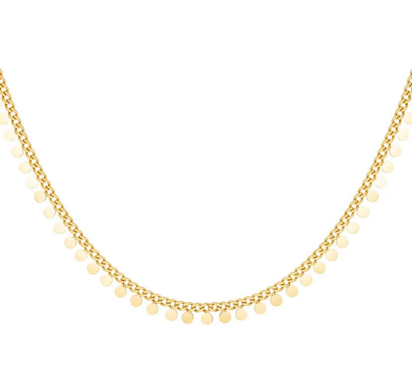 Coin ketting