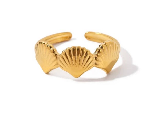 Beach ring