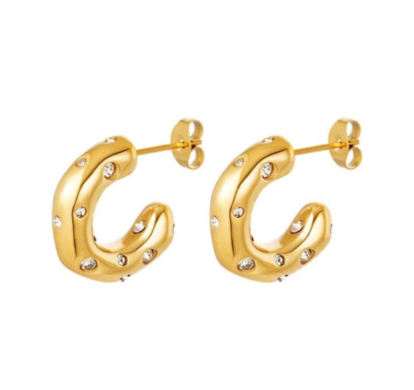 Sparkling oorbellen