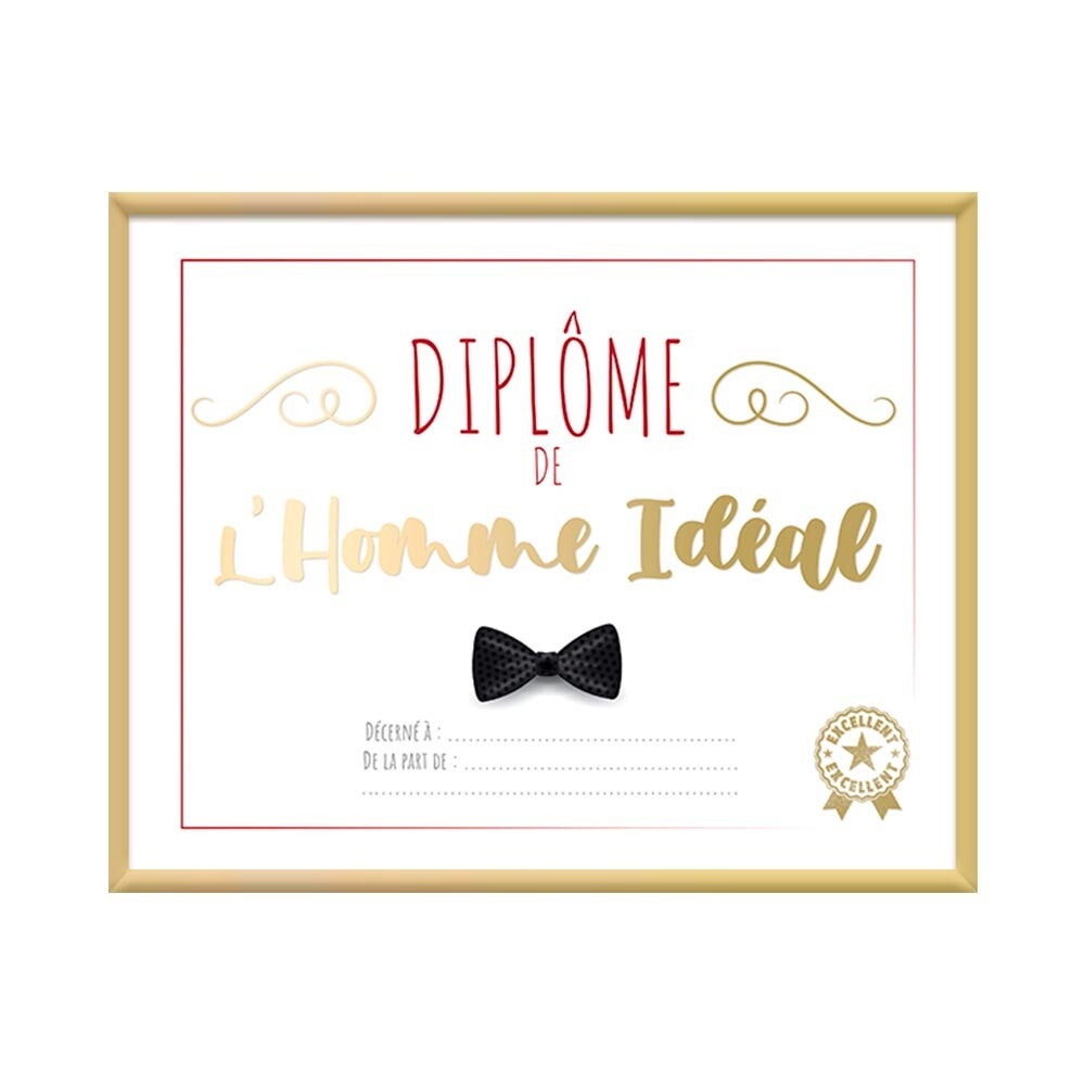 diplôme homme idéal