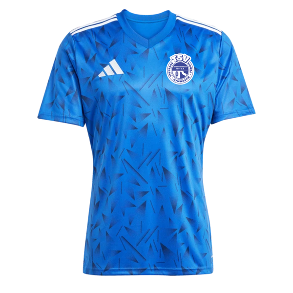 TSV Brodswinden – adidas Team Icon 25 Trikot Kids (Blau)