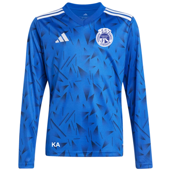 TSV Brodswinden – adidas Team Icon 25 Kids Trikot (Blau)
