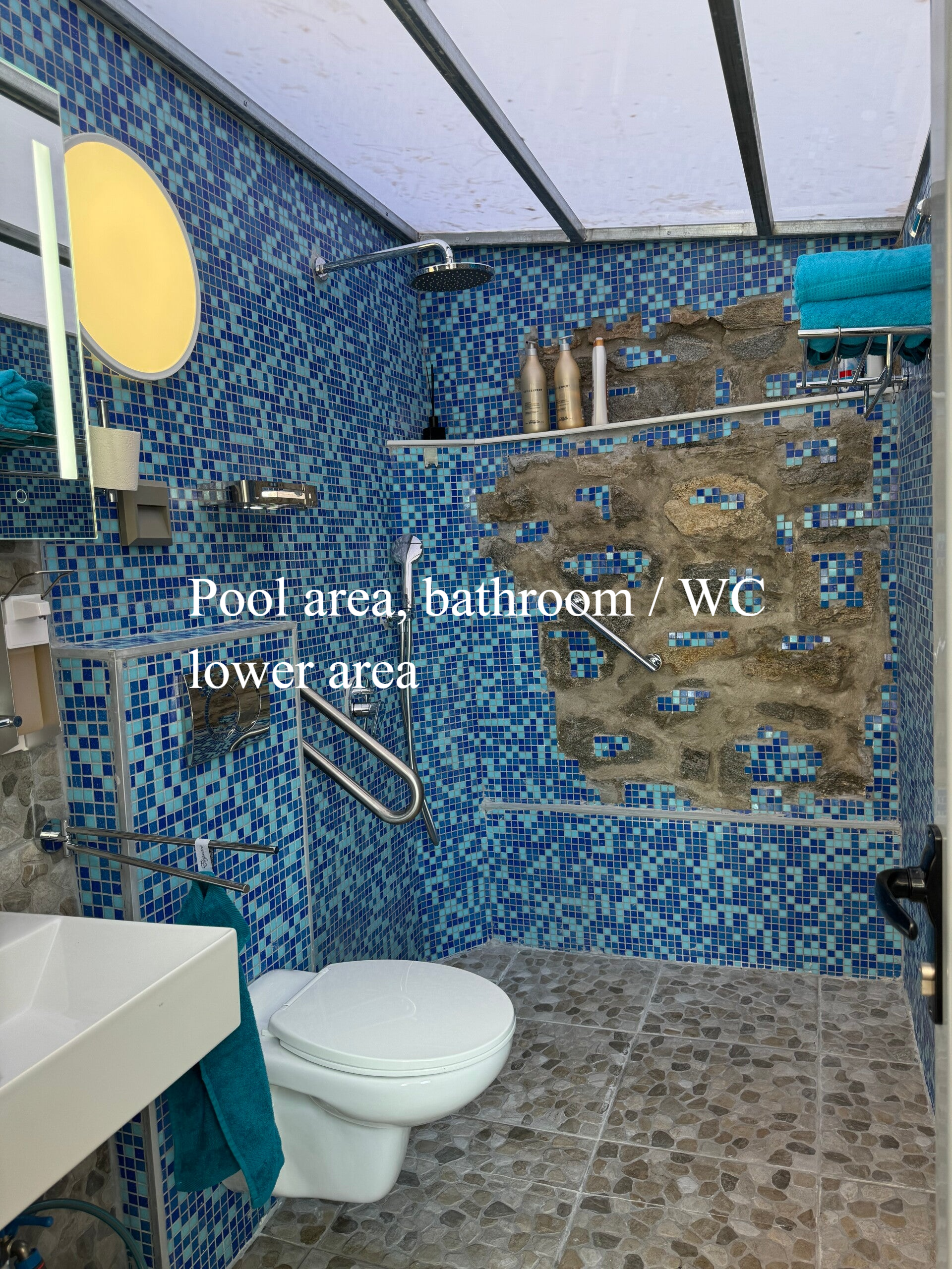 Pool area, bathroom/ WC, lower area
