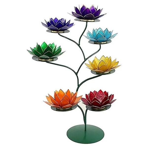 Lotusboom compleet