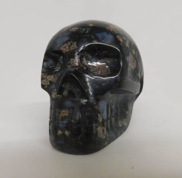 Que sera skull met een boodschap