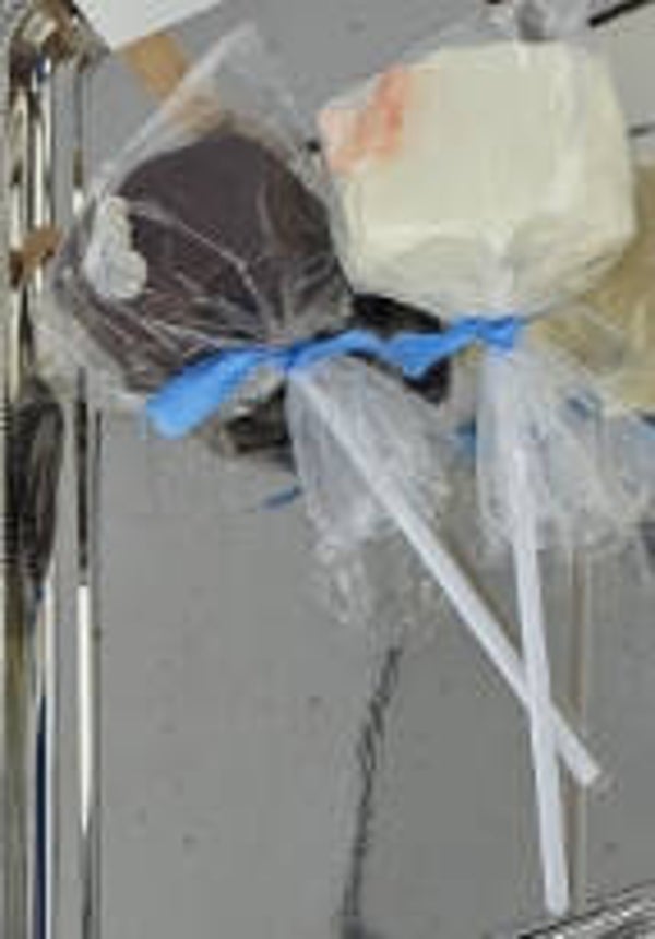 Dipped Marshmallows