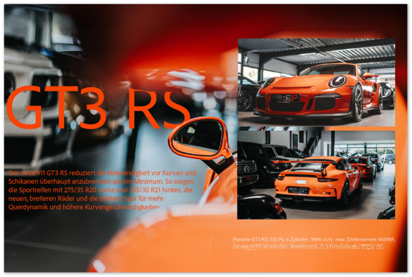 Porsche GT3RS Fine Print