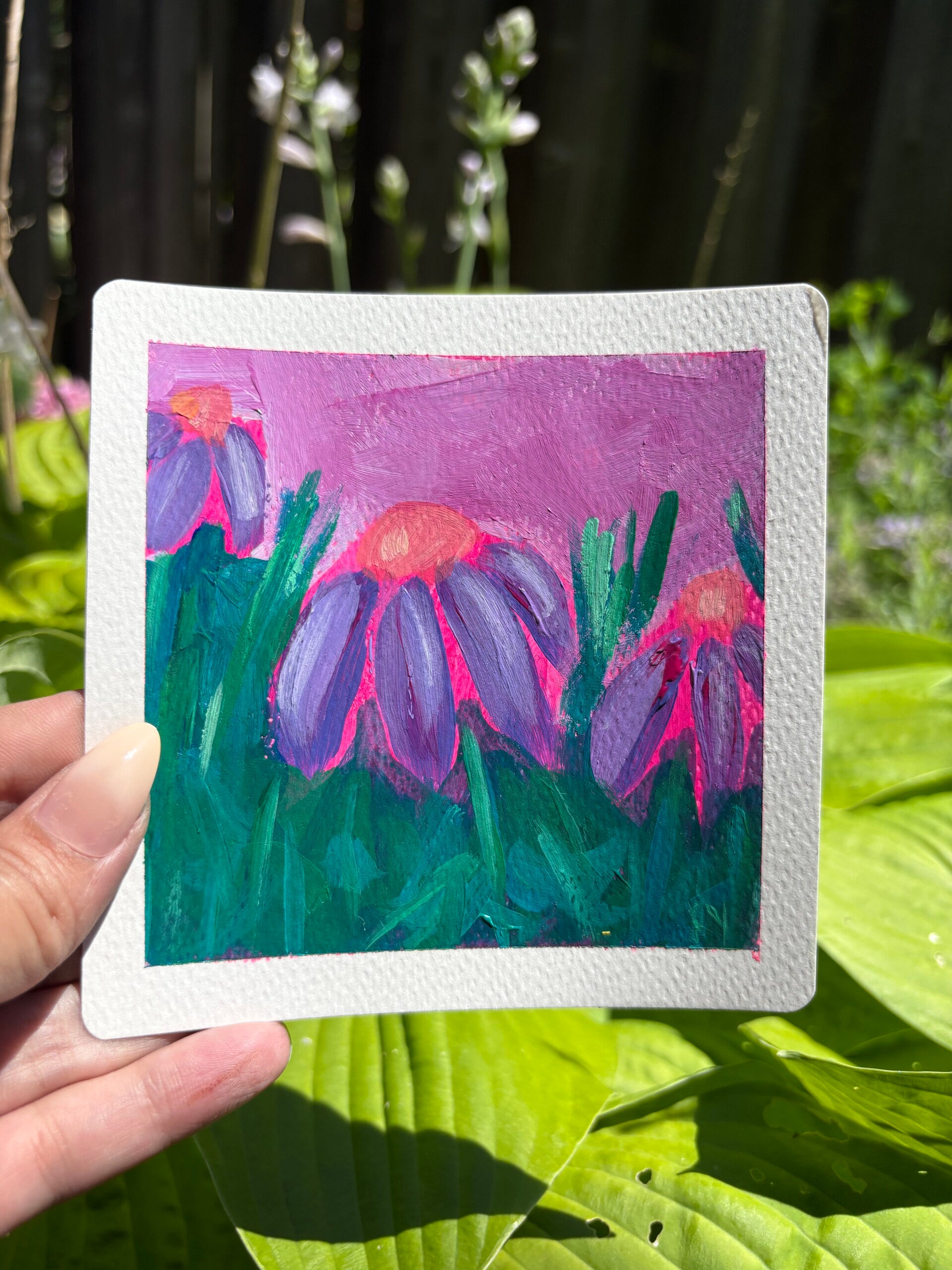 Purple Cornflowers #1