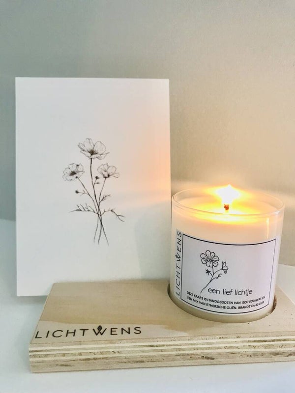 Een lief lichtje - cosmea vanaf