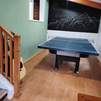pingpong-standard-zhl555.jpg