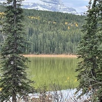 tent-view-1-standard.jpg