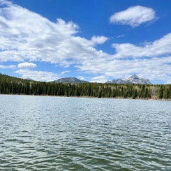 view-2-standard-cgdyoa.jpg