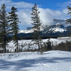 winter-view-standard.jpg