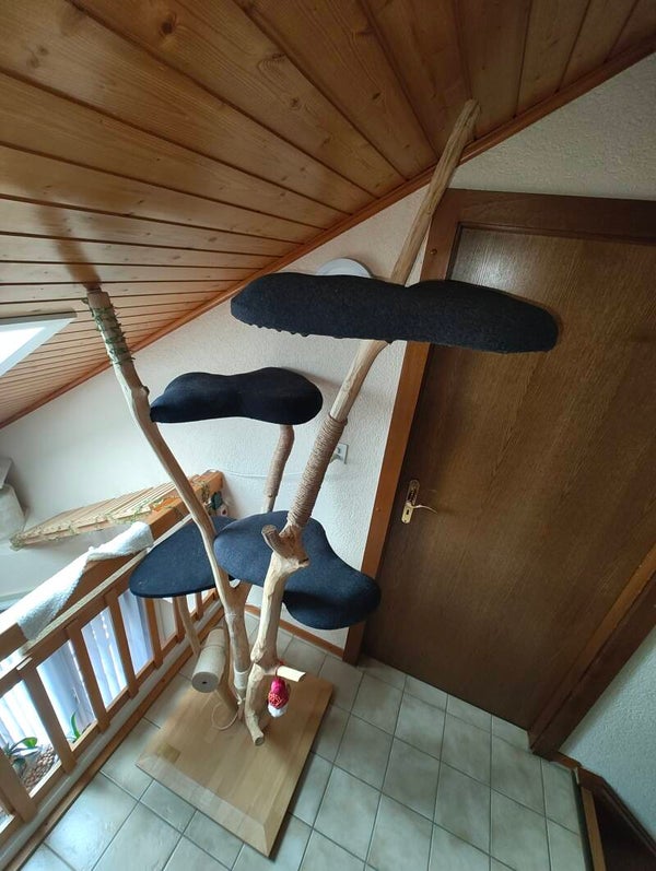 Arbre a chat design - bois flotté