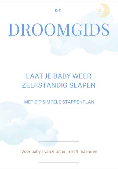 De Droomgids : Het stappenplan voor baby’s van 6 - 9 maanden