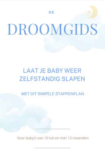 De Droomgids : Het stappenplan voor baby’s van 10 - 12 maanden