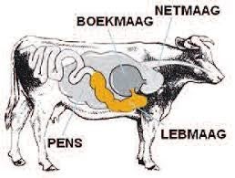 Interessante weetjes (5) | Metaalzoekworkshop.nl